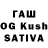 Псилоцибиновые грибы Cubensis Zamavid