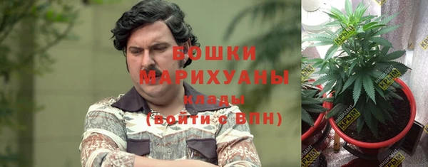 дурь Каменногорск