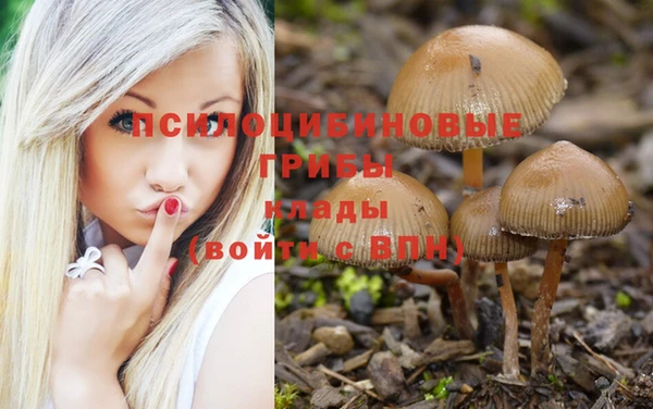 первитин Каменск-Шахтинский