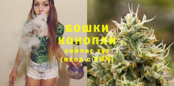 дурь Каменногорск