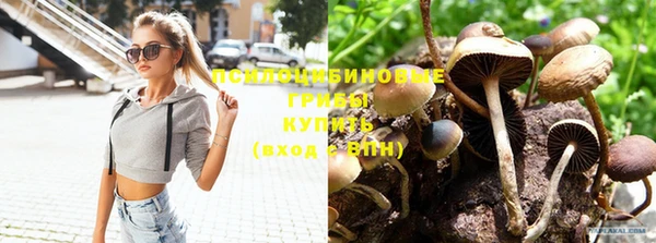 дурь Каменногорск