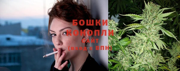 MESCALINE Каменка