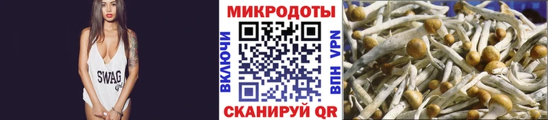 Псилоцибиновые грибы ЛСД  Купить где  Болхов 